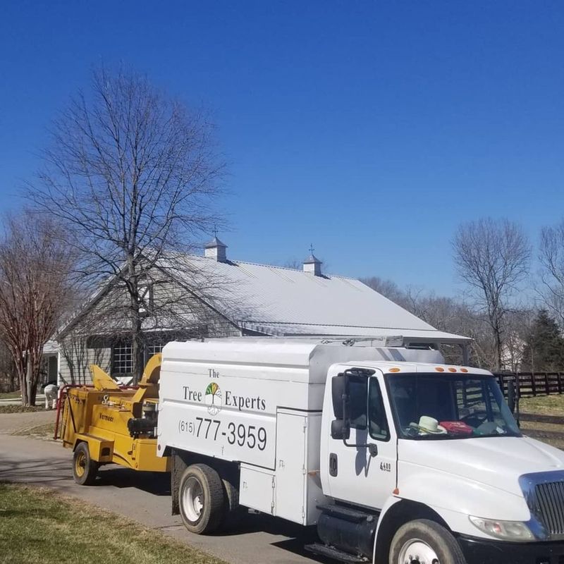 the-tree-experts-of-tennessee-gallery-003-800h
