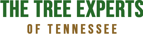 The Tree Experts of Tennessee | Franklin, TN