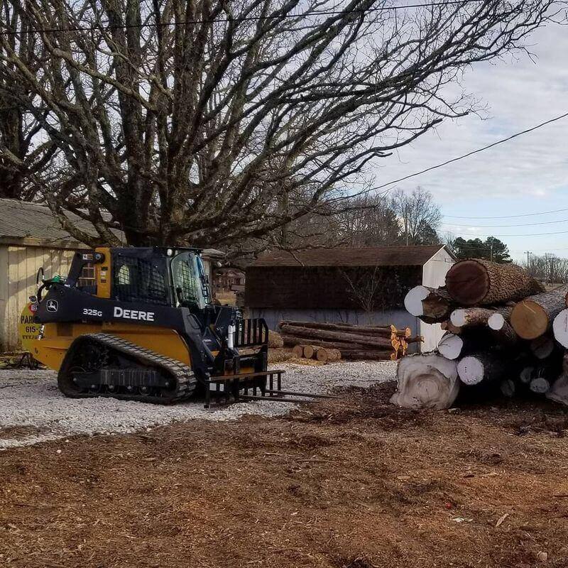 the-tree-experts-of-tennessee-gallery-001-800h(1)(1)(1)
