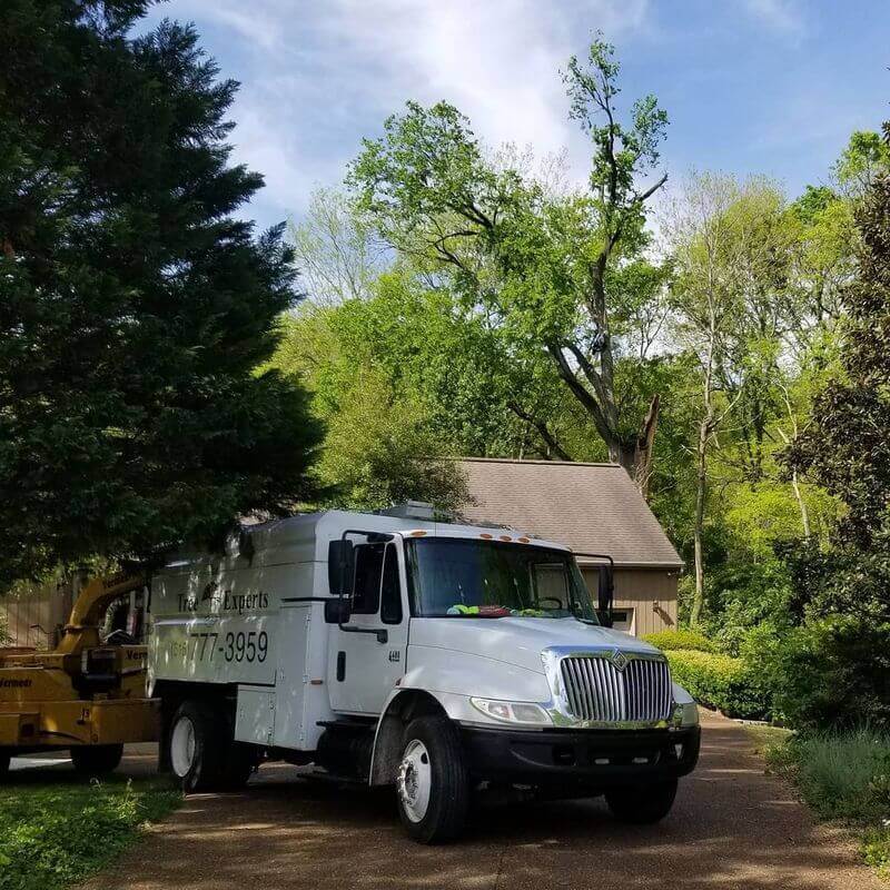 the-tree-experts-of-tennessee-gallery-005-800w(1)(1)