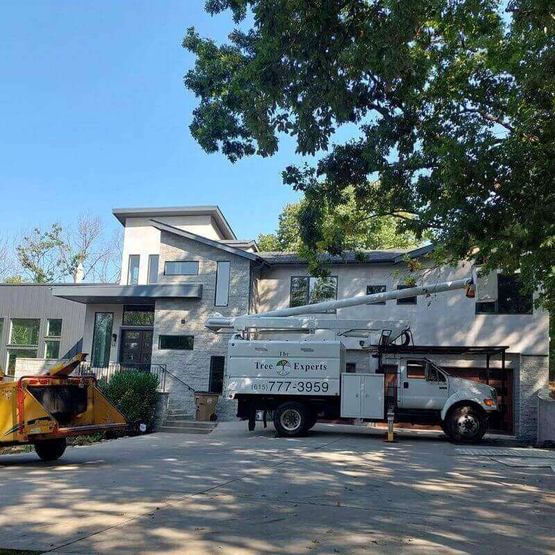 the-tree-experts-of-tennessee-gallery-012-800w(1)(1)(1)