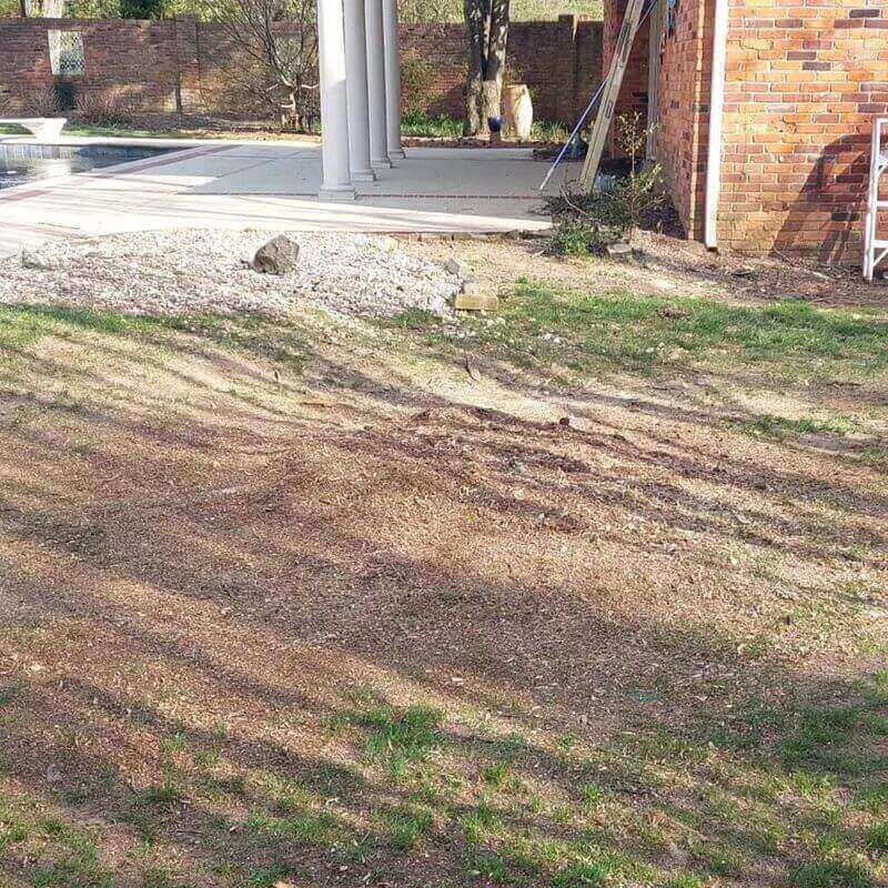 the-tree-experts-of-tennessee-gallery-013-800w(1)(1)(1)(1)